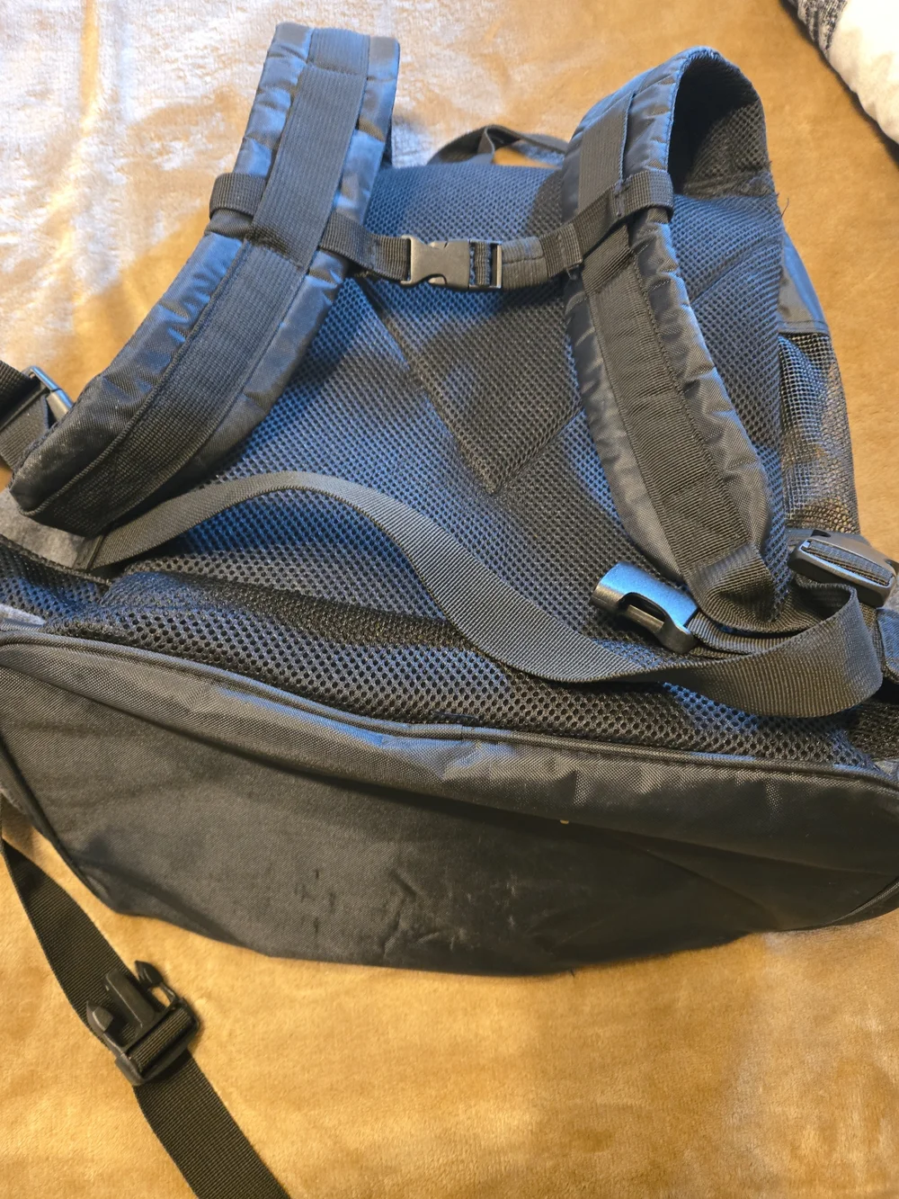 Top Paw Gray and Teal Pet Backpack Carrier